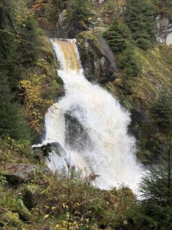 IMG_8592.jpg