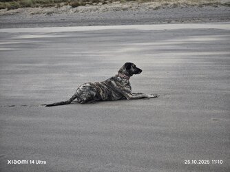 IMG_20251025_111036.jpg