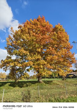 IMG_20251011_161124971_HDR.jpg