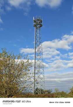 IMG_20251011_161327063_HDR.jpg