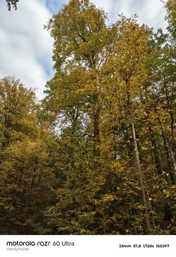 IMG_20251018_092313617_HDR.jpg