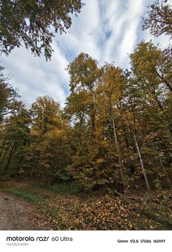 IMG_20251018_092317380_HDR.jpg