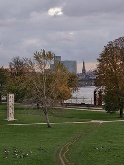IMG_20251026_170444.jpg