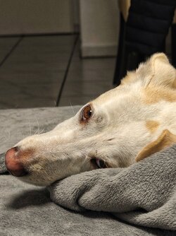 IMG_20251026_193433391.jpg