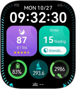 WatchScreenshot_20251027_093230.png