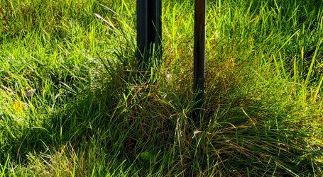 Screenshot 2025-10-27 114821.jpg