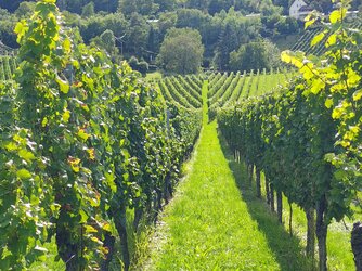 04 laurens.jpg 04 laurens.jpg