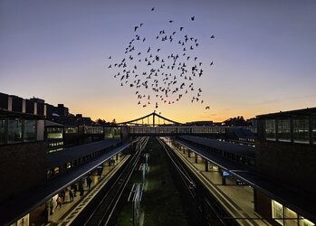 08 Becki-1980.jpg 08 Becki-1980.jpg