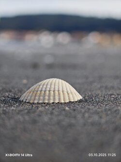 10 kingoftf.jpg 10 kingoftf.jpg