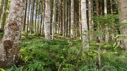 16 marcodj.jpg 16 marcodj.jpg