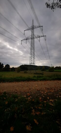 18 kusler.jpg 18 kusler.jpg