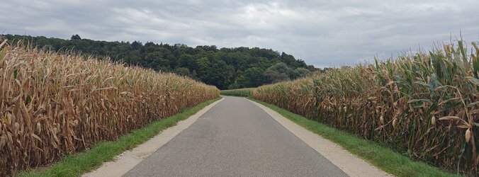 21 Pazuzu-13.jpg 21 Pazuzu-13.jpg