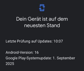 Google Play-Systemupdate.jpg