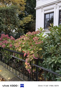 1000033538.jpg 1000033538.jpg