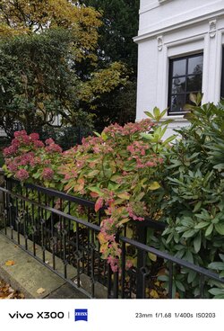 1000033537.jpg 1000033537.jpg