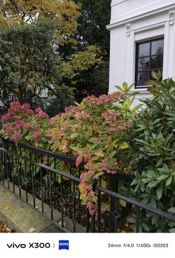 1000033535.jpg 1000033535.jpg