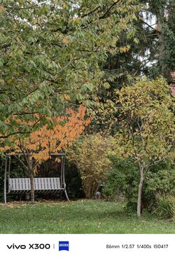 1000033606.jpg 1000033606.jpg