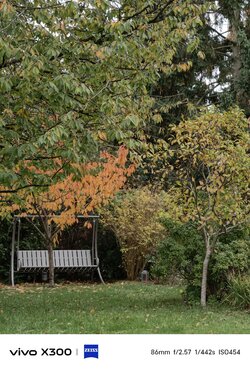 1000033607.jpg 1000033607.jpg