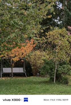 1000033589.jpg 1000033589.jpg