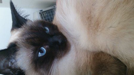 2013-03-02 09.41.36.jpg