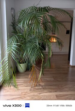 1000033620.jpg 1000033620.jpg