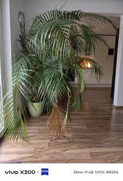 1000033623.jpg 1000033623.jpg