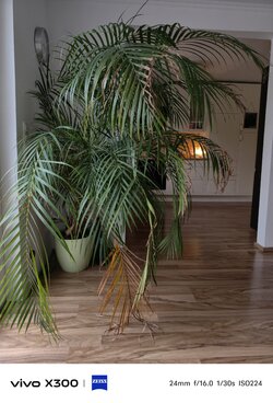 1000033618.jpg 1000033618.jpg