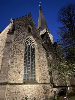 IMG_5596.jpeg IMG_5596.jpeg