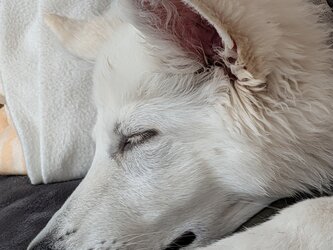 PXL_20250909_082405267 (1).jpg