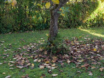 952 70mm cameraraw 27MP.jpg