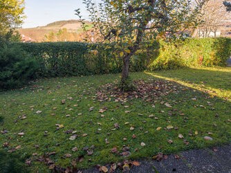 951 23mm cameraraw 27MP.jpg