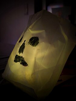 1000079226.jpg 1000079226.jpg