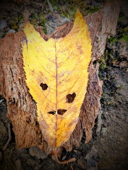 1000079382.jpg 1000079382.jpg