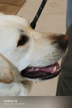 20251101_162026.jpg 20251101_162026.jpg