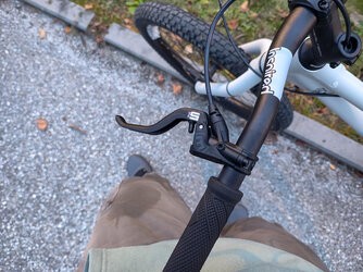 IMG_20251101_170944005_HDR (2).jpg