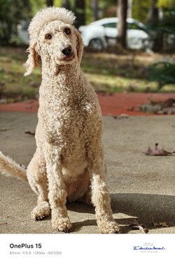 20251102_204326.jpg 20251102_204326.jpg