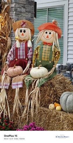 20251102_211758.jpg 20251102_211758.jpg