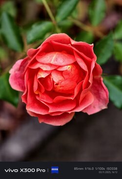 IMG_20251103_161237.jpg IMG_20251103_161237.jpg