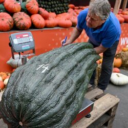 1000016209.jpg 1000016209.jpg