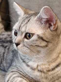 IMG_20251105_103640.jpg IMG_20251105_103640.jpg