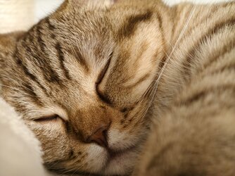 IMG_20251104_224407.jpg IMG_20251104_224407.jpg