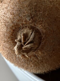 IMG_20251105_154443.jpg IMG_20251105_154443.jpg