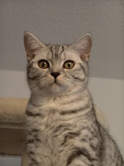 IMG_20251105_155848.jpg IMG_20251105_155848.jpg