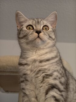 IMG_20251105_155902.jpg IMG_20251105_155902.jpg