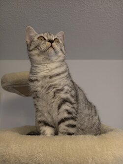 IMG_20251105_160027.jpg IMG_20251105_160027.jpg