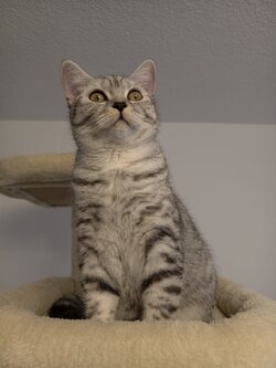 IMG_20251105_160043.jpg IMG_20251105_160043.jpg