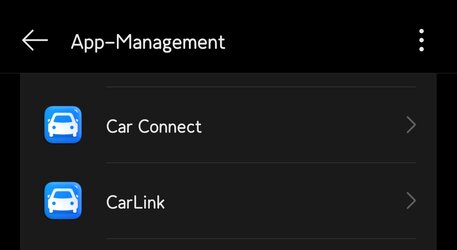 CN FW ohne Android Auto.jpg