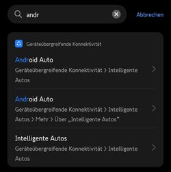 Suche in Einstellungen.jpg