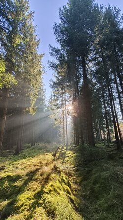 006 Oppo Find X9 Pro.jpg