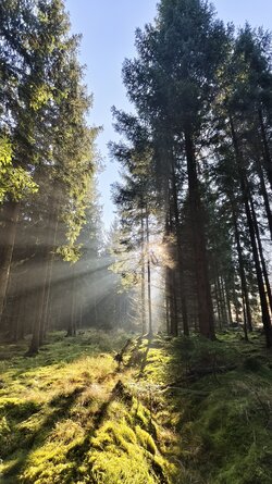 006 Vivo X200 Pro.jpg